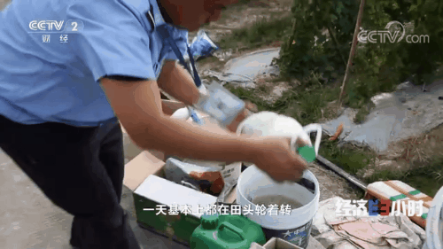 “南菜北运”：稳住“菜篮子”鼓了“钱袋子”