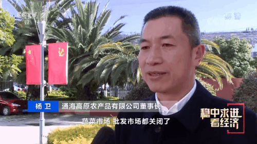 “南菜北运”：稳住“菜篮子”鼓了“钱袋子”