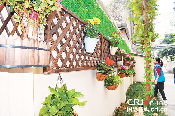 图片默认标题_fororder_2