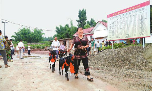 图片默认标题_fororder_1