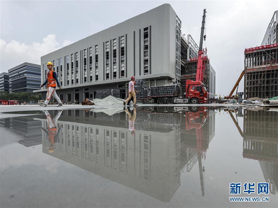 让更多“进博红利”惠及全球——写在第二届进博会倒计时100天之