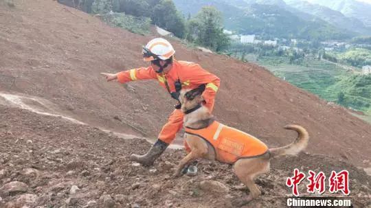 “老公，这是你吗？”