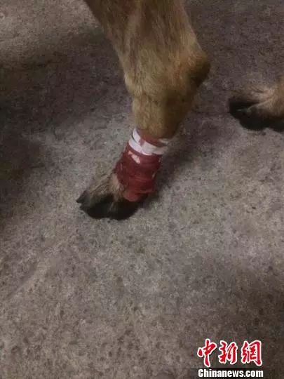 “老公，这是你吗？”