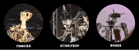 从领军者到模仿者 董明珠和格力的蜕变