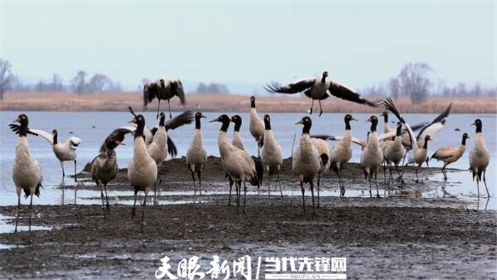(中首)毕节威宁草海生态治理成效显著