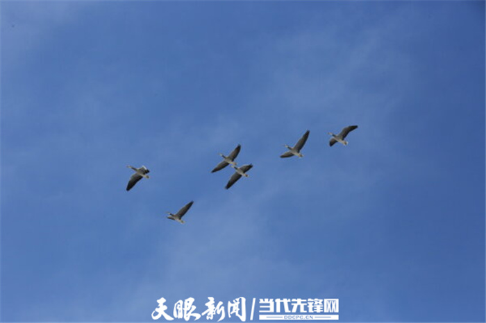 (中首)毕节威宁草海生态治理成效显著