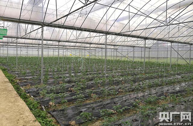 记者手记：走在贵州大山的脱贫路上