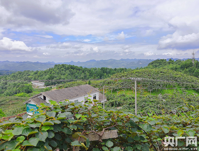记者手记：走在贵州大山的脱贫路上