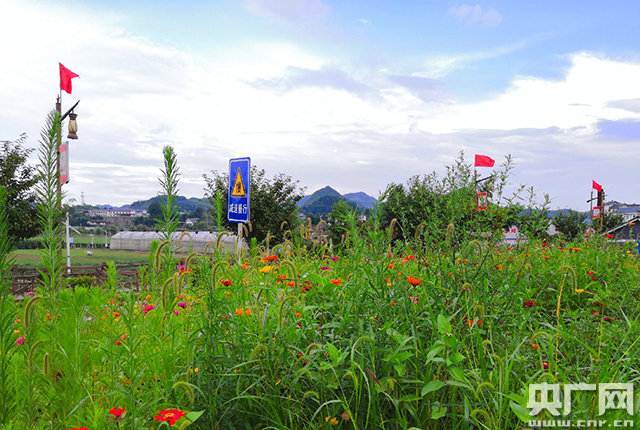 记者手记：走在贵州大山的脱贫路上