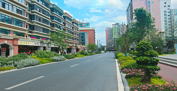 枣子巷街景 供图 西安路街道办事处国际在线四川报道:提到成都的特色