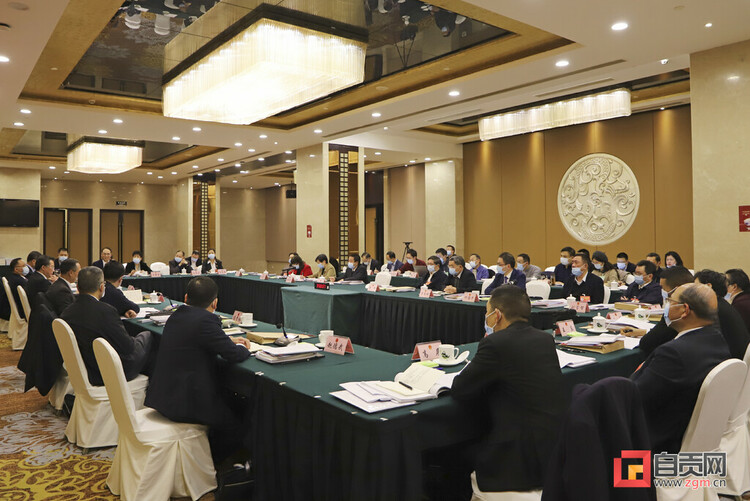四川省十三届人大五次会议自贡代表团举行全体会议审议政府工作报告