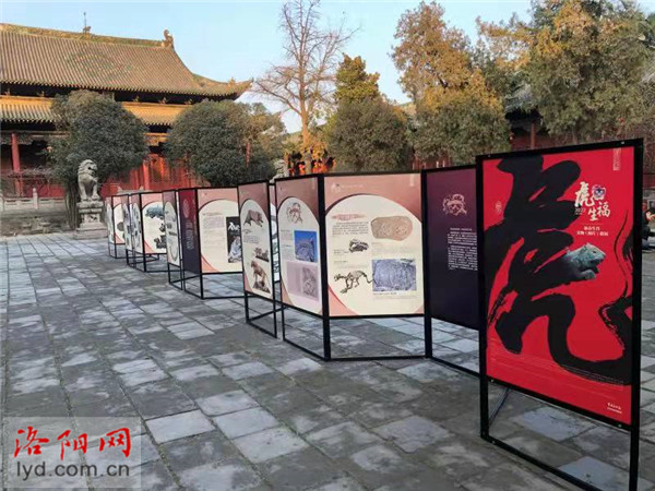 闭馆也能看展览！洛阳民俗博物馆邀您线上欣赏虎生肖文物展