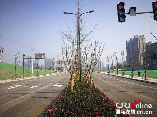 图片默认标题_fororder_1