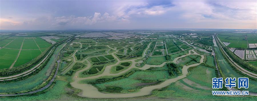 江苏泗洪：大美洪泽湖湿地