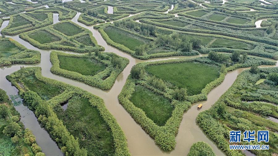 江苏泗洪：大美洪泽湖湿地