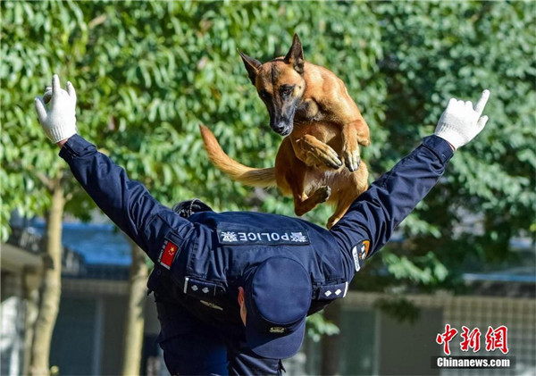 โรงเรียนฝึกสุนัขตำรวจที่หูเป่ย