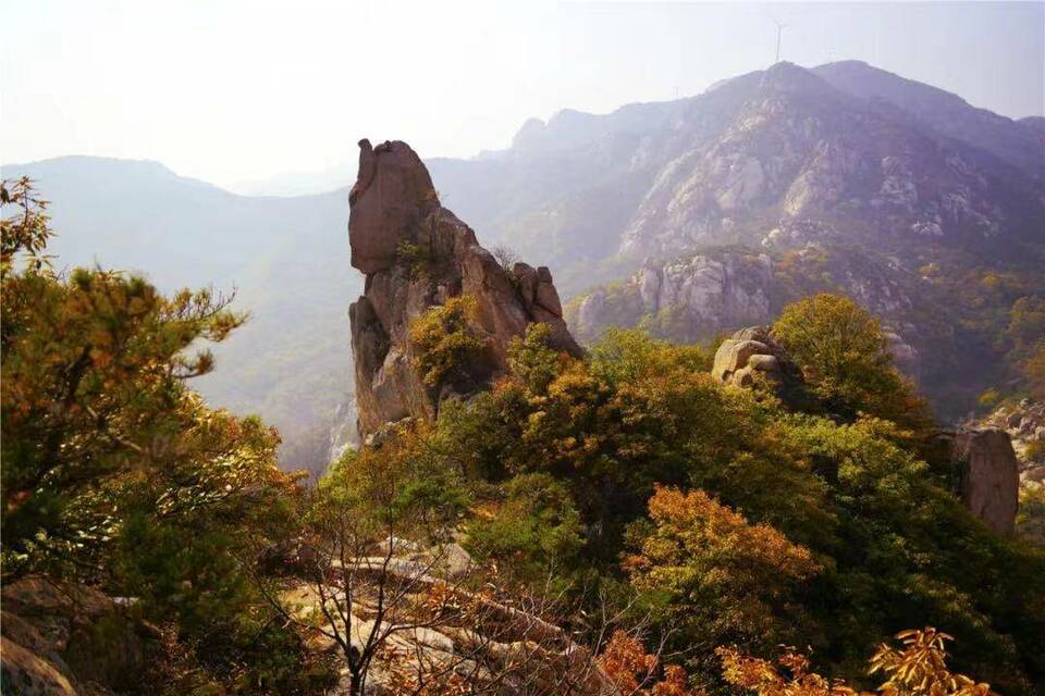 盘点山东“虎”字号景点,新年开启“虎气满满”的旅程