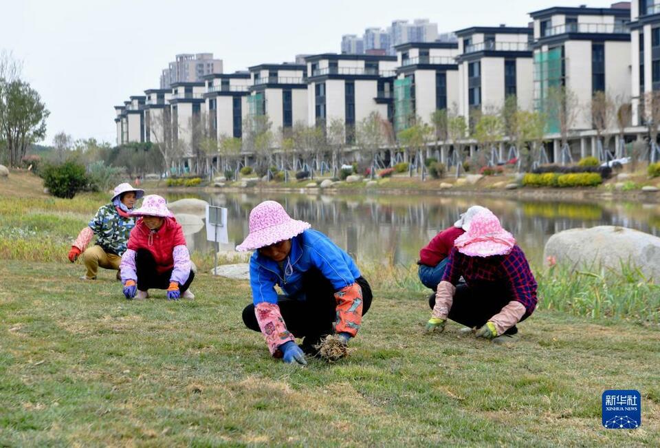 福州：推动河湖水系综合治理 打造生态新家园