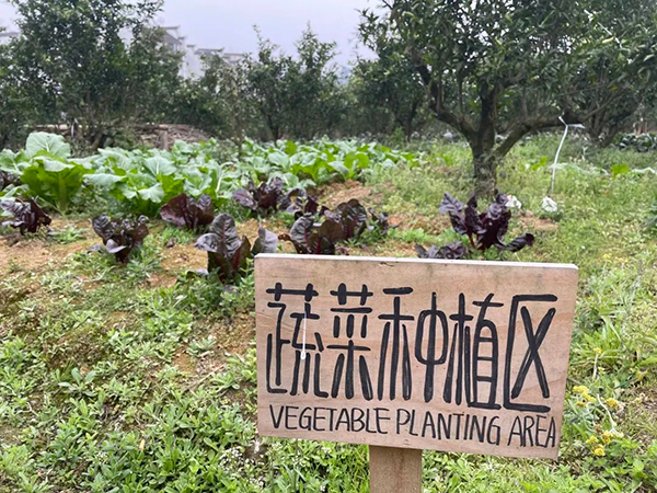 还未正式上市就已售罄 这个“零”农残蒲江果子背后藏着什么“秘密”?_fororder_蔬菜种植区-供图-蒲江县委宣传部