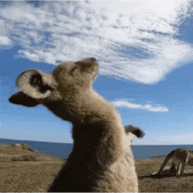 「2021西瓜年度知识作品大赏榜单」正式公布 “无穷小亮”获「最具获得感知识作品」 「2021西瓜年度知识作品大赏榜单」正式公布 “无穷小亮”获「最具获得感知识作品」