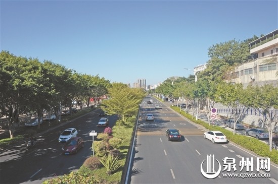 泉州中心市区主干道基本完成“白改黑” 提升景观