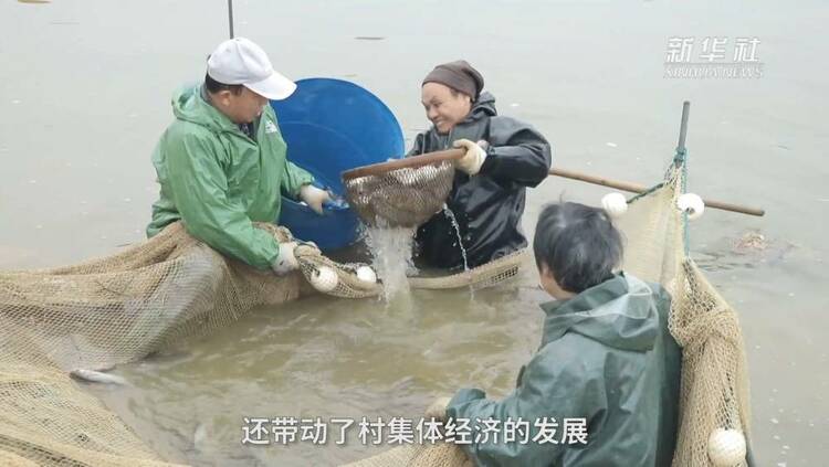 新春走基层·巡江记 | 这152公里的长江岸线藏着怎样的生态密码？