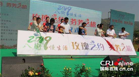 玫瑰花，产业花——食用玫瑰产业推动云南安宁特色经济升级