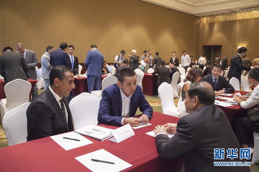 中国—埃及投资贸易座谈会在开罗举行