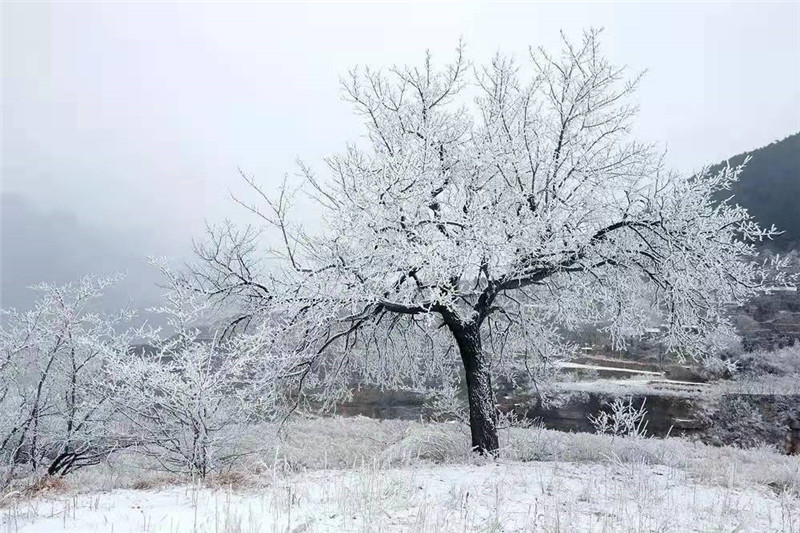 安阳林州：太行雪景美如画_fororder_微信图片_20220124150055