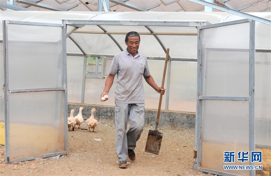 库布其沙漠开出生态文明之花 库布其沙漠开出生态文明之花