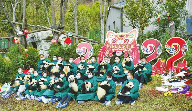 （中首）熊猫宝宝贺新春