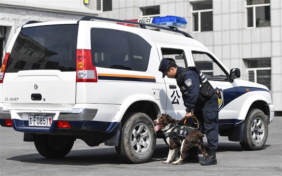 吉林：边境线上的“萌犬奇兵”