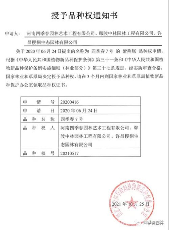 权证书据介绍,四季春园林于2020年6月24日申请了3个紫荆属植物新品种