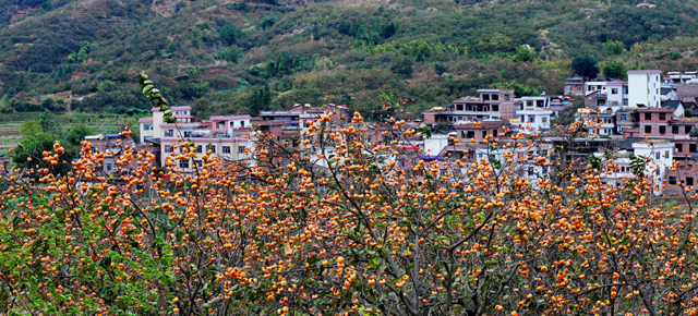 图片默认标题_fororder_F3