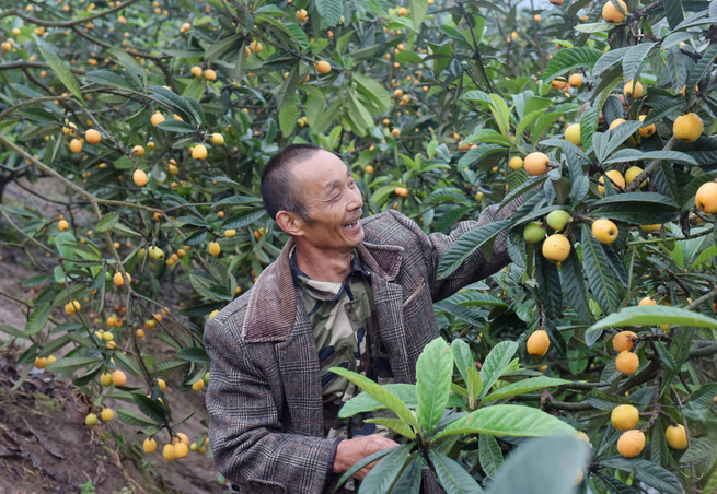 图片默认标题_fororder_F4