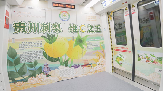 （供稿）贵州刺梨宣传广告在贵阳地铁2号线正式上线_fororder_图片1