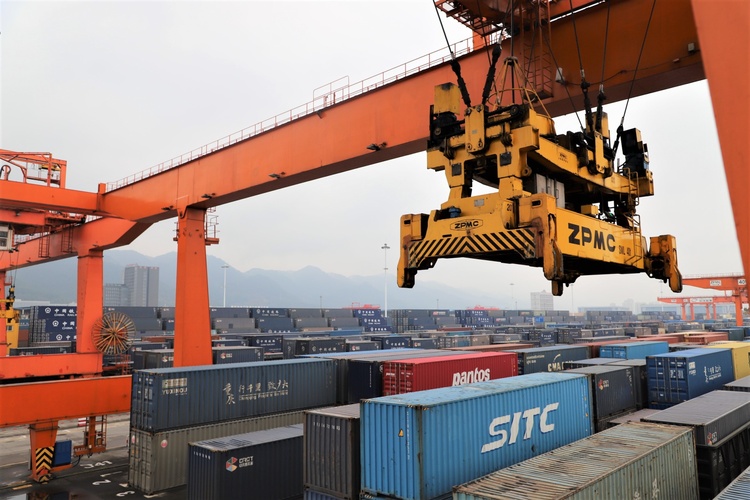 中国新春记事丨11岁的你又有了好兄弟