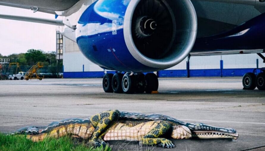 英国航空公司为促销令人体彩绘鳄鱼上飞机跑道