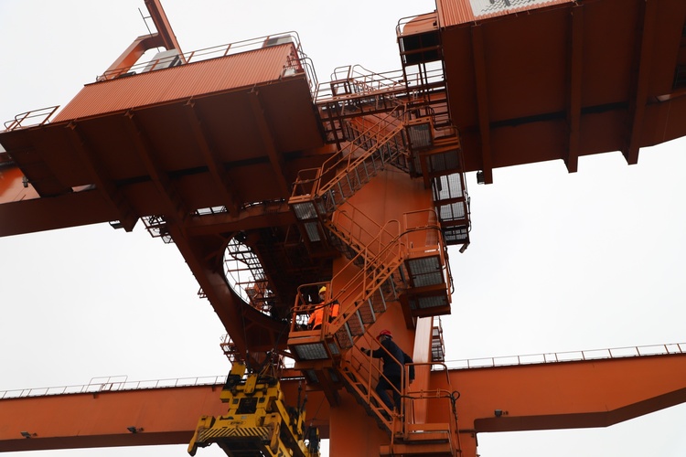 中国新春记事丨11岁的你又有了好兄弟