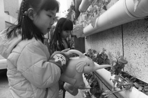 图片默认标题_fororder_3