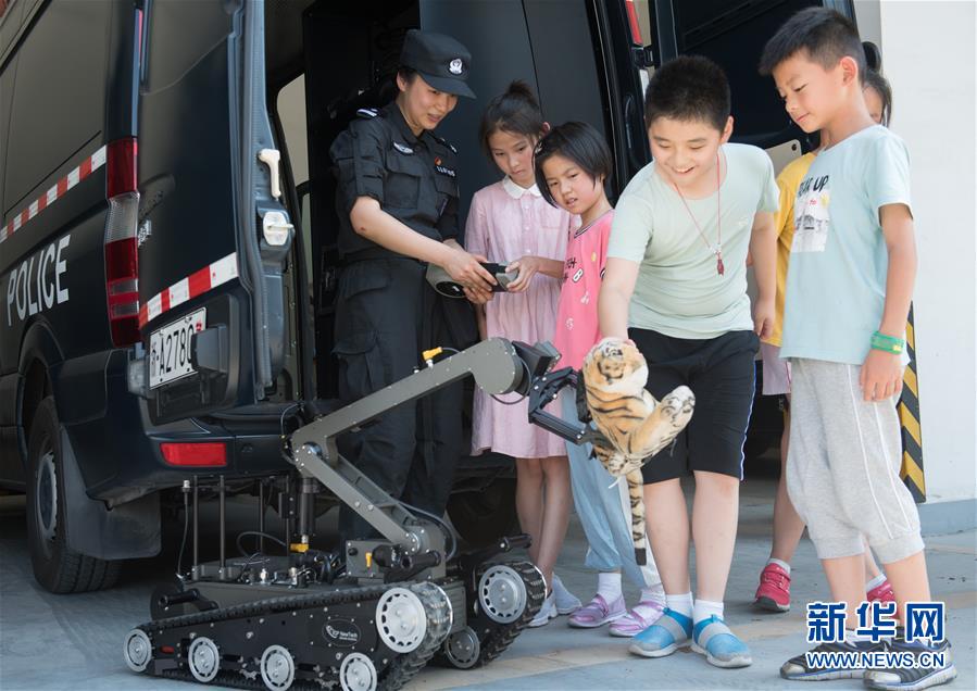 烈日下的排爆玫瑰