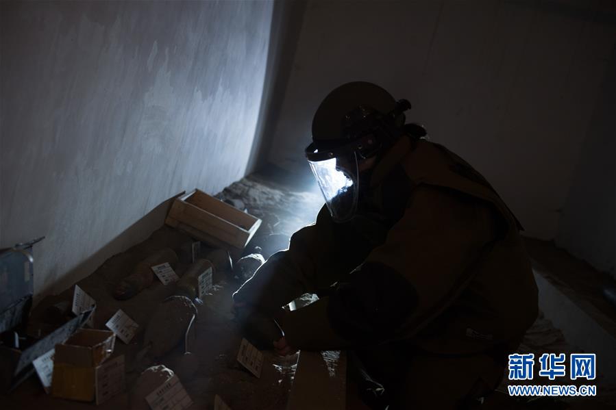 烈日下的排爆玫瑰