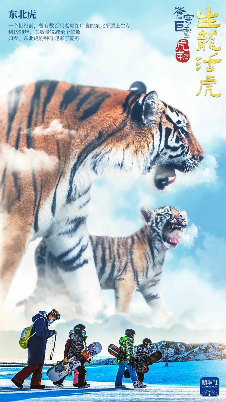 苍！穹！巨！灵！ 虎！年！特！制！