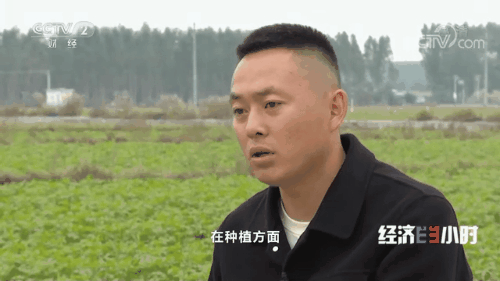 “南菜北运”：稳住“菜篮子”鼓了“钱袋子”