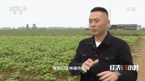 “南菜北运”：稳住“菜篮子”鼓了“钱袋子”