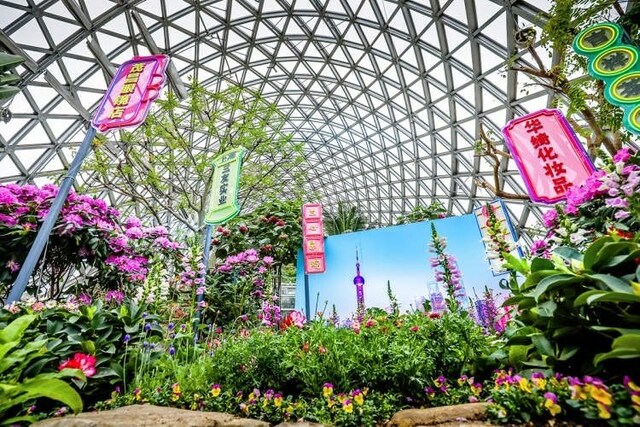 上海辰山植物园新春花卉展示即将开幕