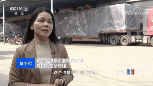 “南菜北运”：稳住“菜篮子”鼓了“钱袋子”