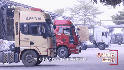 “南菜北运”：稳住“菜篮子”鼓了“钱袋子”