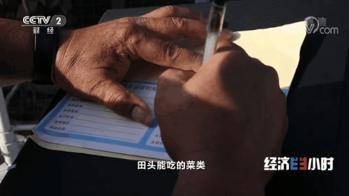 “南菜北运”：稳住“菜篮子”鼓了“钱袋子”