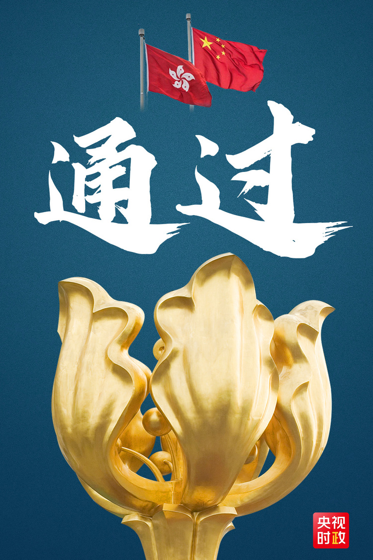 独家视频丨全国人大常委会通过香港特别行政区维护国家安全法并决定列入香港基本法附件三